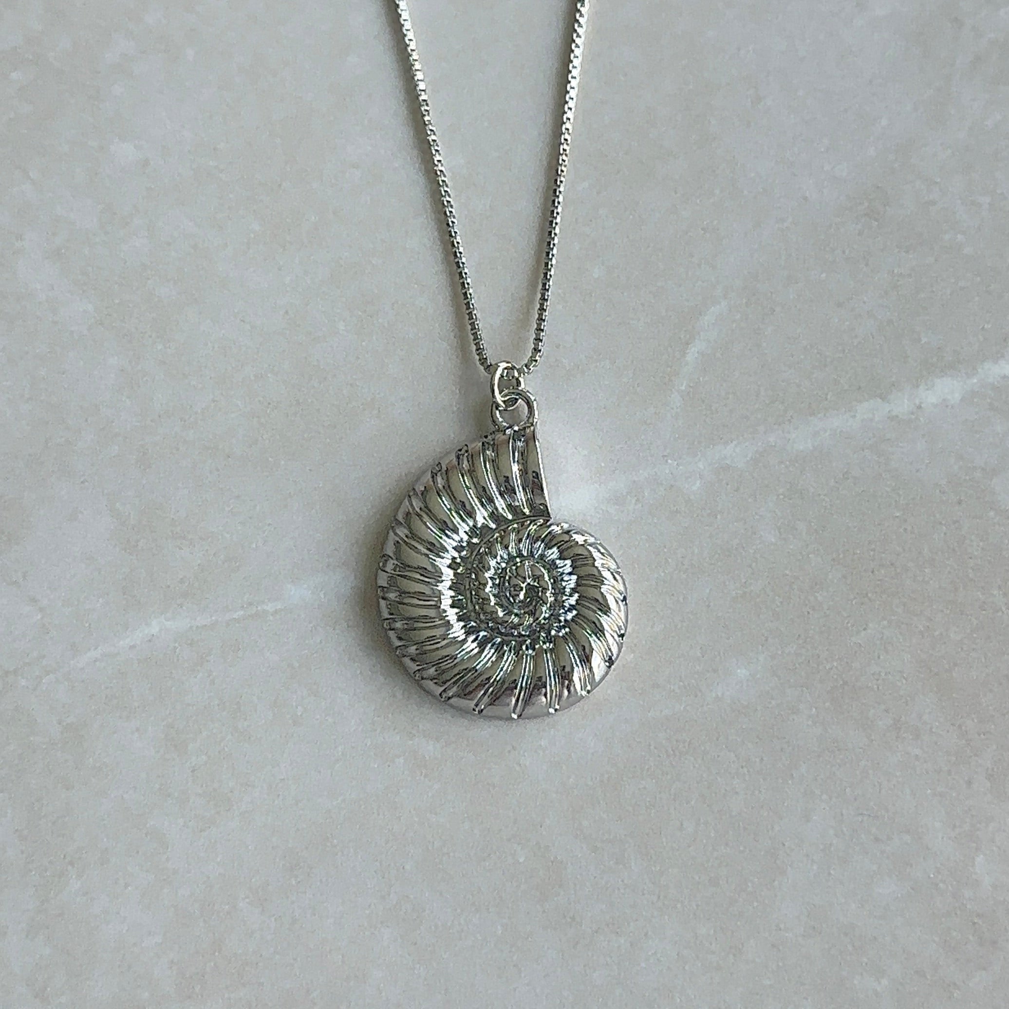 Silver necklace with a detailed pendant on a light gray background