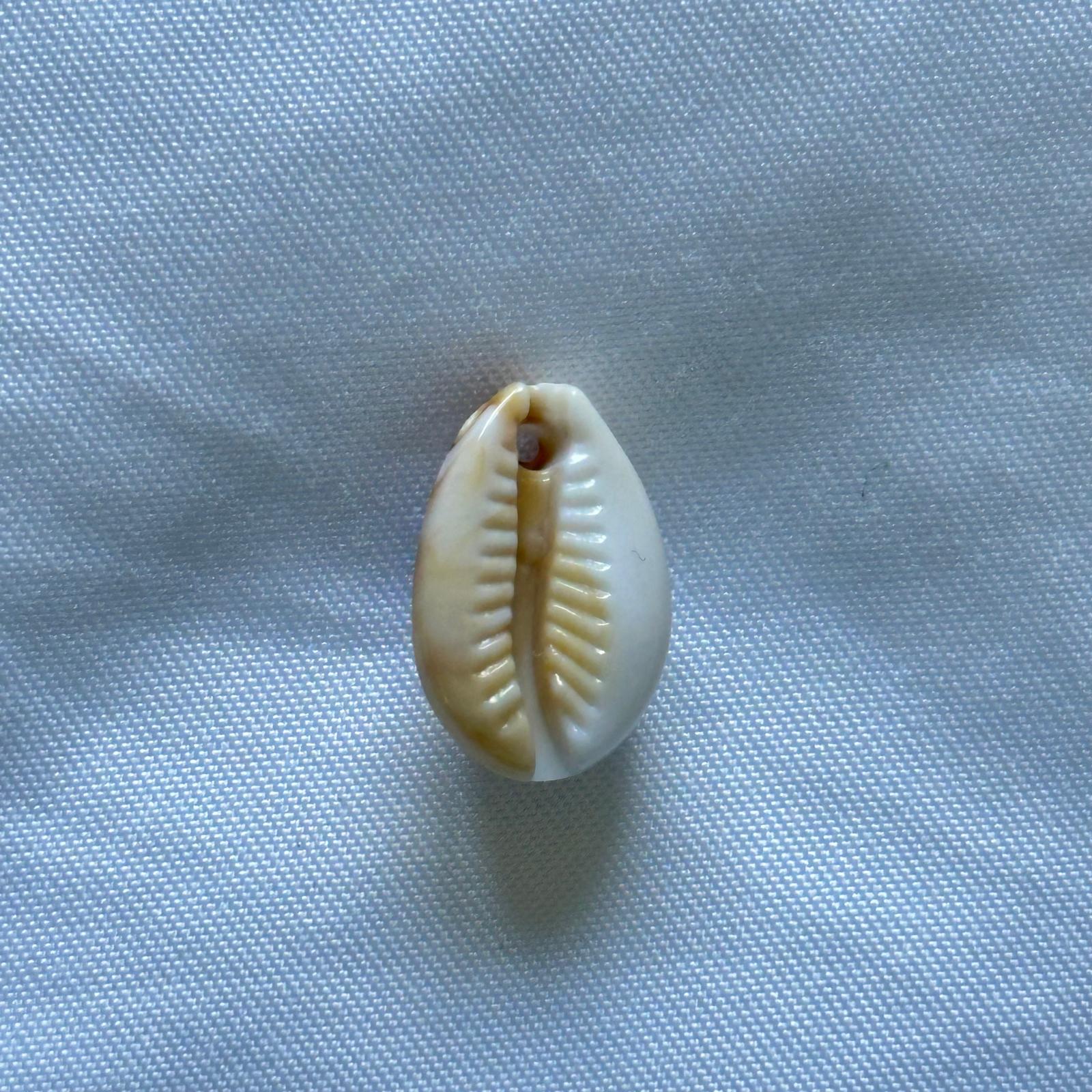 Shell Charm