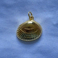 Beach Shell Charm
