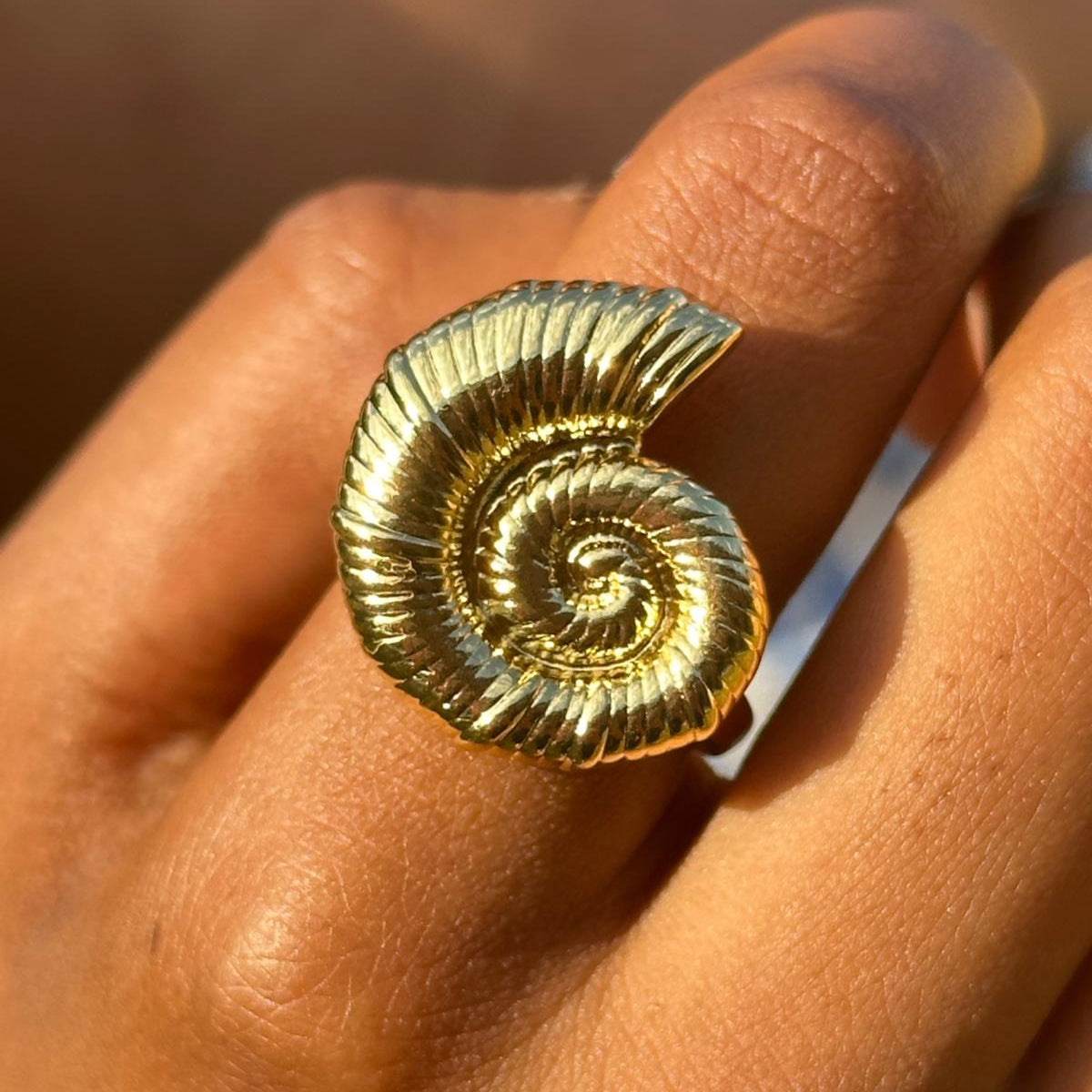 Ariel Ring